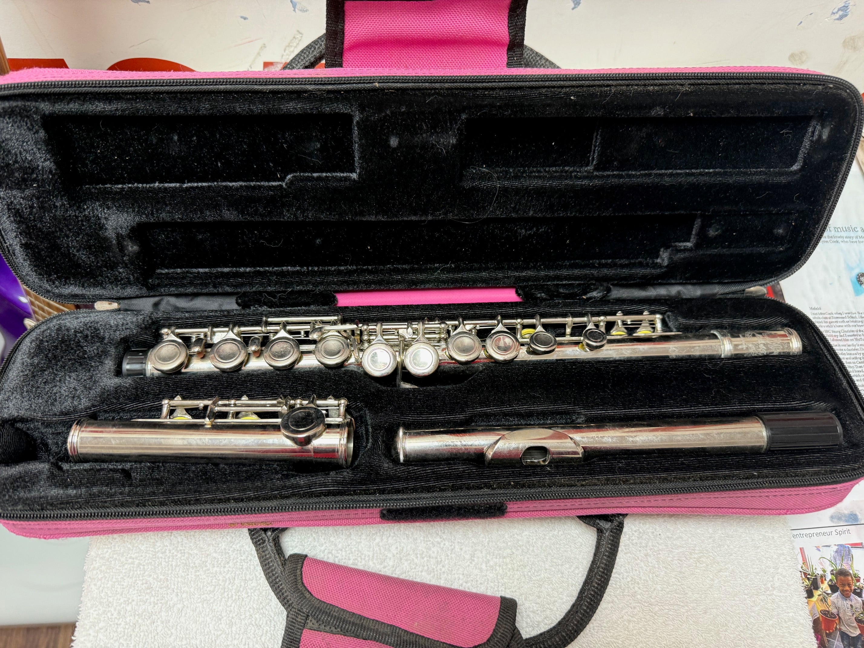 Silver Flute - Student/Intermediate Level with Pink Case